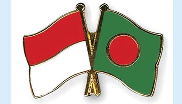 আজ বঙ্গভবনে বসছেন শেখ হাসিনা ও ইন্দোনশেয়িার প্রেসিডেন্ট
