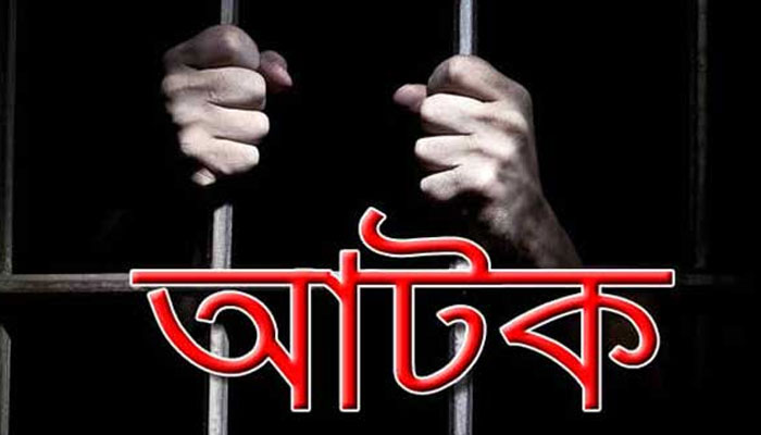 নীলফামারীতে ইয়াবাসহ আটক ২