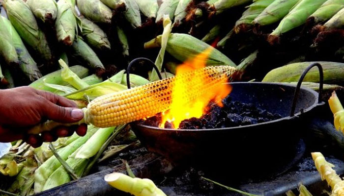 ভুট্টা খাওয়ার উপকারিতা