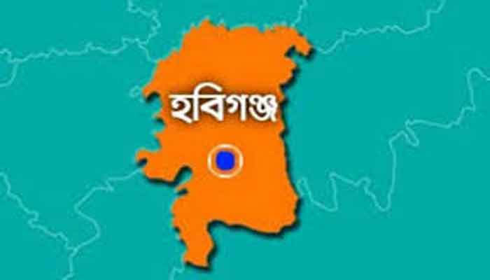 হবিগঞ্জে চান্দের গাড়ি খাদে পড়ে আহত ২০