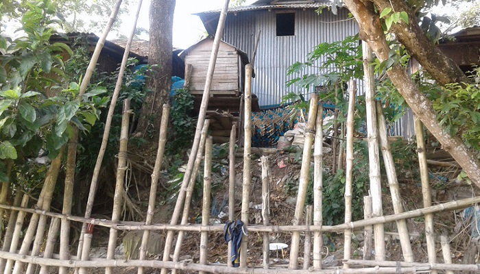 মাদারীপুরে ৫০ পরিবার নদী ভাঙনের কবলে