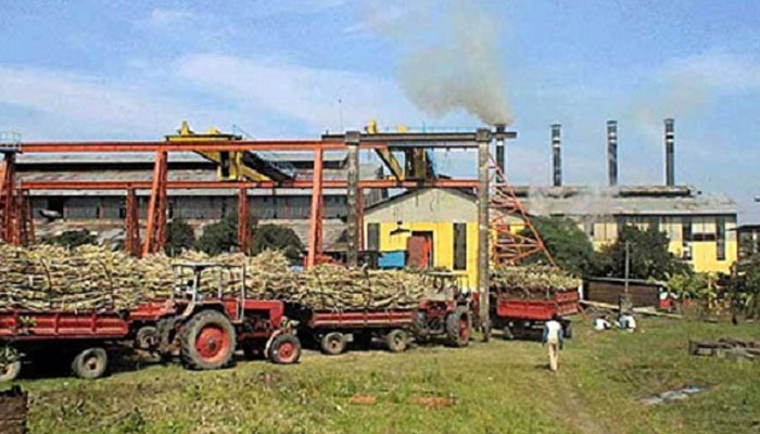 পাবনা সুগার মিলে চাষীদের পাওনা ২৫ কোটি