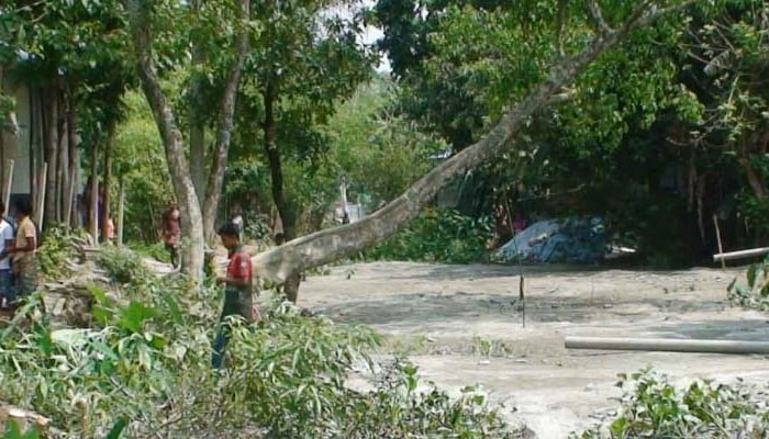 সরকারি জমি দখল করে মাটি ভরাট