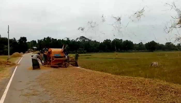 পাকা রাস্তায় ধান মাড়াই