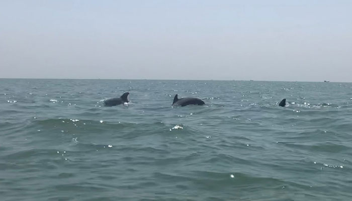 সাময়িক সুখে নদী-খাল-বিল