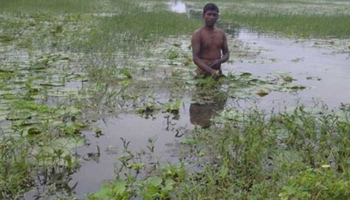 এবার ‘বঙ্গবন্ধুর স্মৃতিকথা’ প্রকাশ হবে