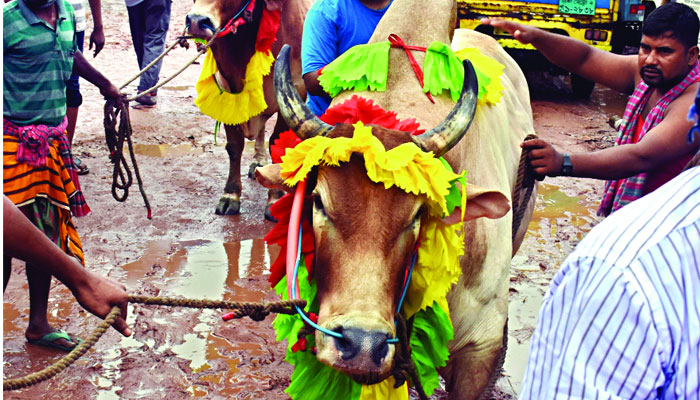 বিক্রি কম, দাম আরো কম