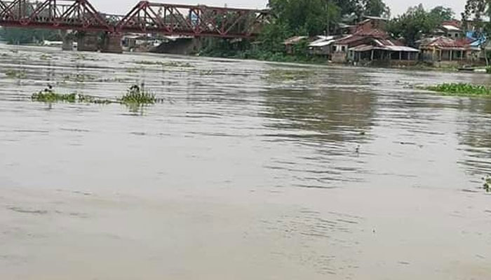 আত্রাই নদীতে পানি বৃদ্ধি, তলিয়ে গেছে বীজতলা
