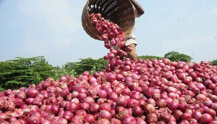 পেঁয়াজ রপ্তানি বন্ধে অনুতপ্ত ভারত: পররাষ্ট্রমন্ত্রী