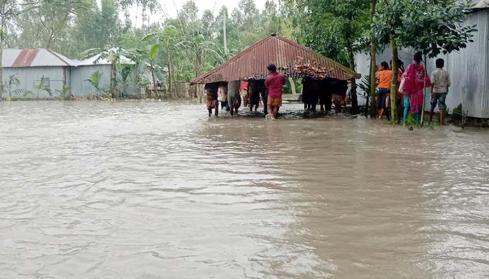 ডিমলায় টানা বর্ষণে বন্যায় ৬ হাজার পরিবার পানিবন্দি