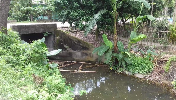 কালভার্ট নির্মাণে ত্রুটি, পানির নিচে ২ হাজার বিঘা ফসল