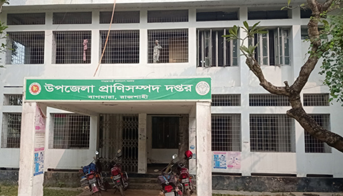 বাগমারা প্রাণীসম্পদ দপ্তরের সেবা না পেয়ে হতাশ খামারিরা