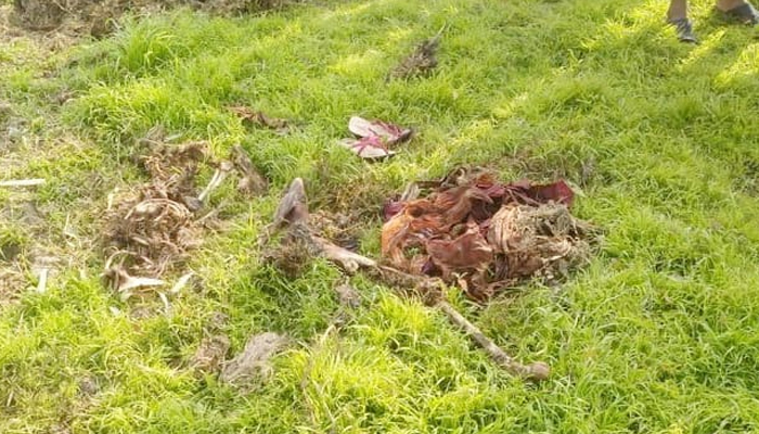 নিখোঁজ গৃহবধুর ২০ দিন পর মিলল কঙ্কাল