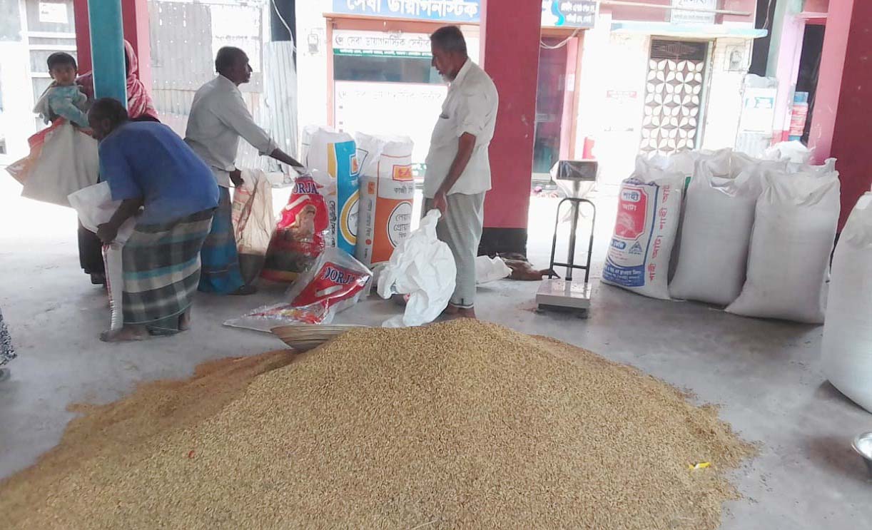 বরগুনার বেতাগীতে আমন সংগ্রহ ব্যর্থ