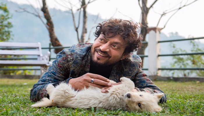 ফের পর্দায় ইরফান খান
