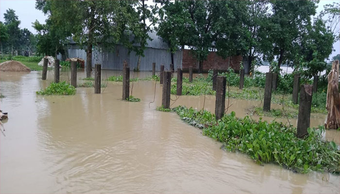 ধোবাউড়ায় বন্যায় পানিবন্ধী মানুষ শুকনো খাবার খেয়ে দিন কাটাচ্ছে