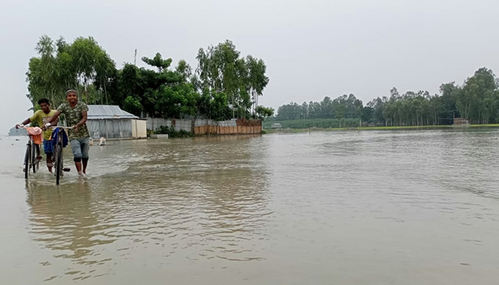 কুড়িগ্রামে ব্রহ্মপুত্র ও ধরলায় পানি বৃদ্ধি অব্যাহত, প্লাবিত বিস্তীর্ণ এলাকা