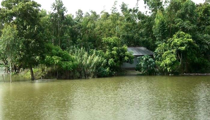 কুড়িগ্রামে ধরলার পানি বিপদসীমার উপরে, প্লাবিত নিম্নাঞ্চল