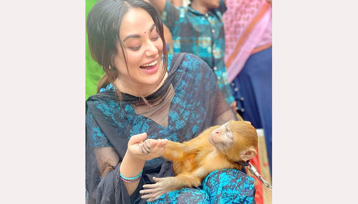 বানরের কামড়ে আহত হলেন তমা মির্জা