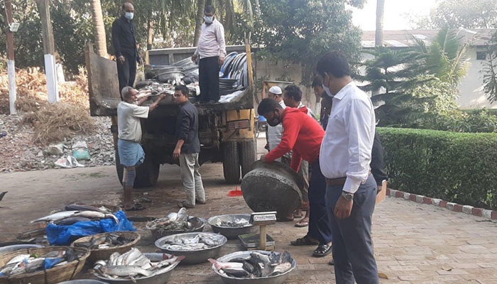 অস্থায়ী কাঁচাবাজারে ডিএসসিসির অভিযানে ১ টন মাছ জব্দ      