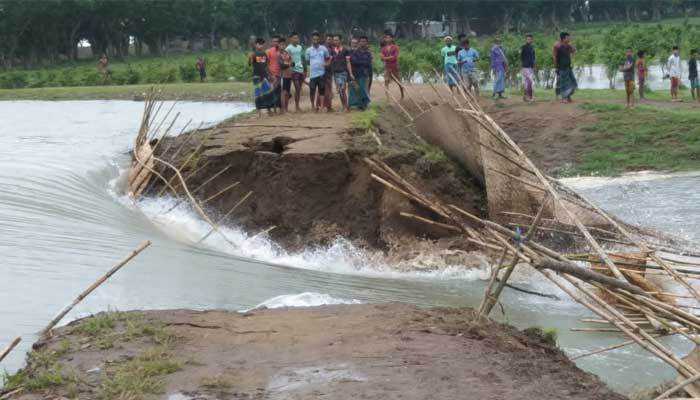 বাঁধ ভেঙে তলিয়ে গেছে টাঙ্গুয়া হাওরের ৩ হাজার একর জমি (ভিডিও)