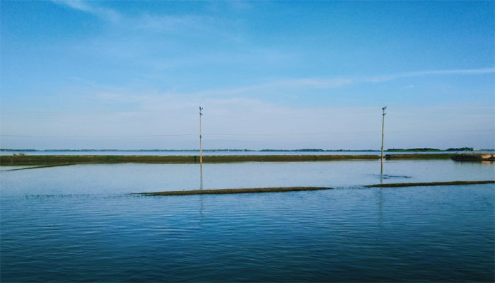 হাওরে অসময়ে কমছে পানি, বোরোজমির বীজতলা নিয়ে শঙ্কিত কৃষক