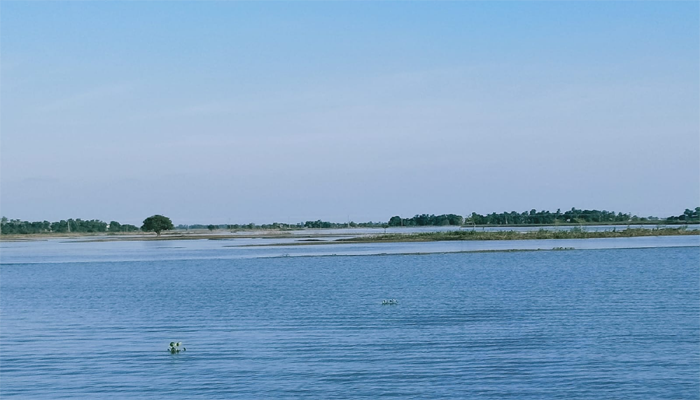 হাওরে অসময়ে কমছে পানি, বোরোজমির বীজতলা নিয়ে শঙ্কিত কৃষক