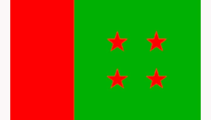 নৈরাজ্য ঠেকাতে রাজপথে সক্রিয় সহযোগী সংগঠনও