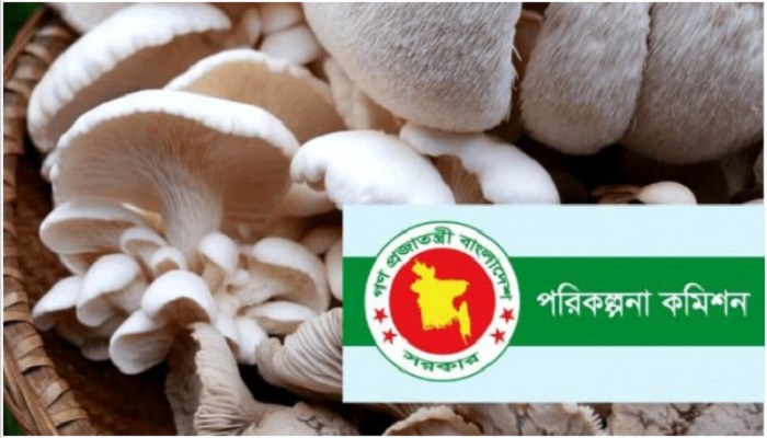 মাশরুম চাষ শিখতে বিদেশ যেতে পারছেন না ৩০ কর্মকর্তা
