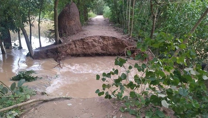 মুহুরী নদীর বাঁধ ভেঙে ৫ গ্রাম প্লাবিত