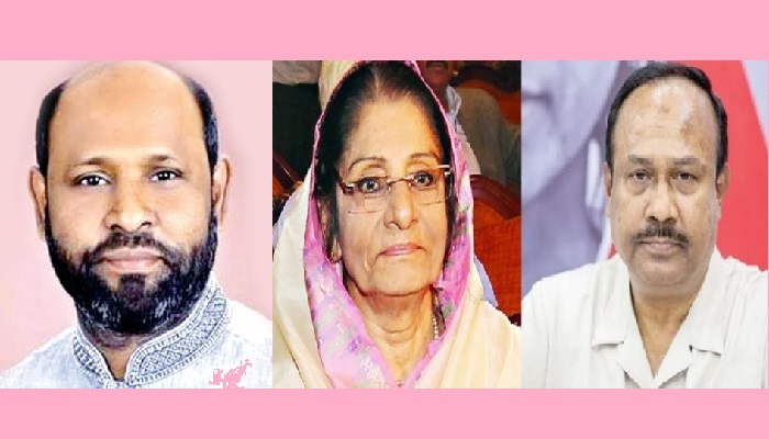 রওশন এরশাদের গাড়ির পতাকা নামানোর আপনি কে?