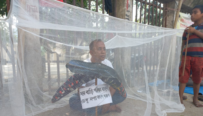 ডেঙ্গু মশা বাড়ায় মশারি টাঙিয়ে প্রতিবাদ