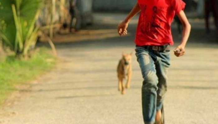 কুকুরের কামড়ে শিশুসহ ১১ জন আহত