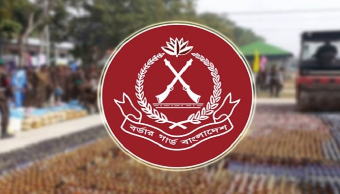 বিজিবির অভিযান: ভারতীয় রুপি ও ইয়াবাসহ আটক ১