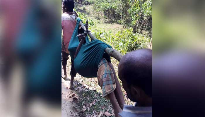 বাইশারীতে হাতির আক্রমণে নিহত ১