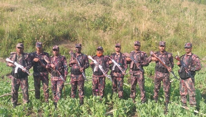 থানচিতে ৩০ একর পপি খেত পুড়িয়ে দিল বিজিবি