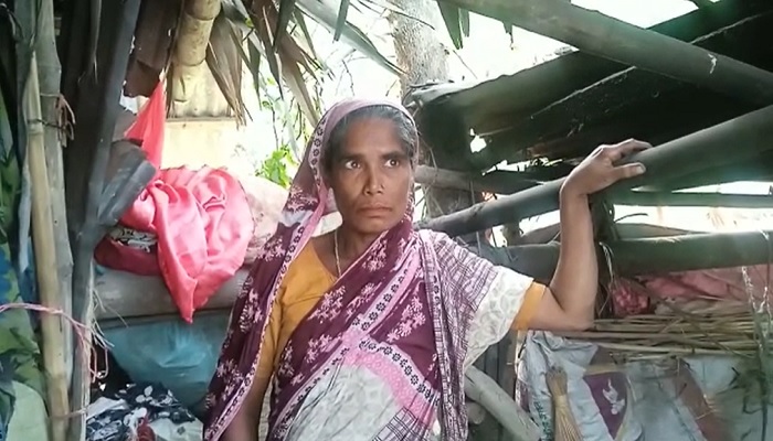 জরাজীর্ণ ঝুপড়িতে দুই সন্তান নিয়ে হালিমার বসবাস