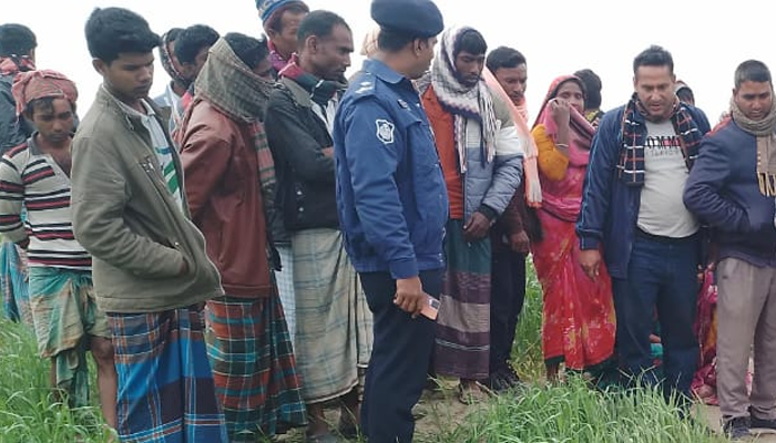 গমক্ষেতে মিললো গলায় ওড়না পেঁচানো যুবতীর মরদেহ