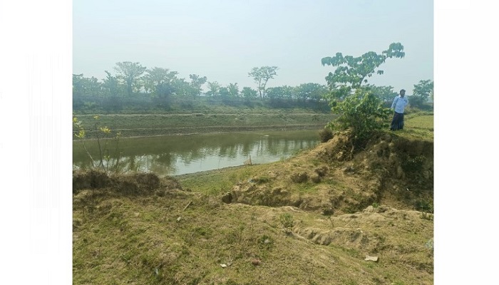 বাঁধের অভাবে বোরো ধান চাষাবাদে ভয় পাচ্ছেন কৃষক