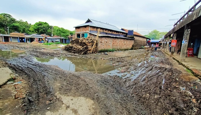 ময়লা-আবর্জনায় পাথারিয়া বাজারের বেহাল দশা