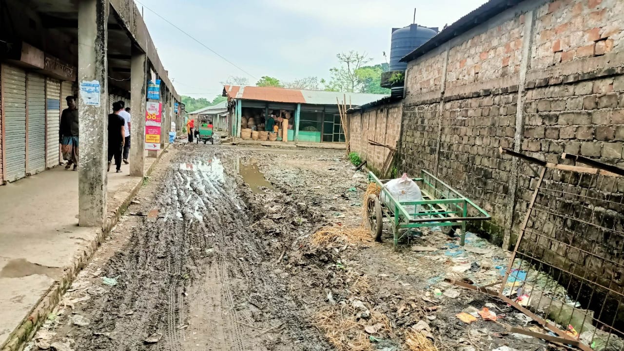 ময়লা-আবর্জনায় পাথারিয়া বাজারের বেহাল দশা