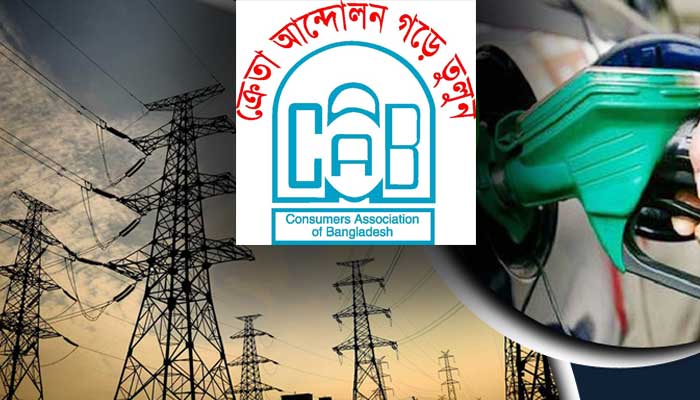 বিদ্যুৎ-জ্বালানির মূল্য নির্ধারণের এখতিয়ার ফেরানোর দাবি ক্যাবের