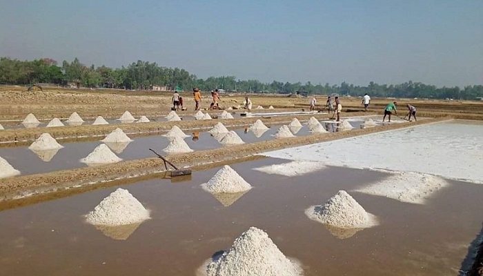 ৬২ বছরের মধ্যে সর্বোচ্চ লবণ উৎপাদন