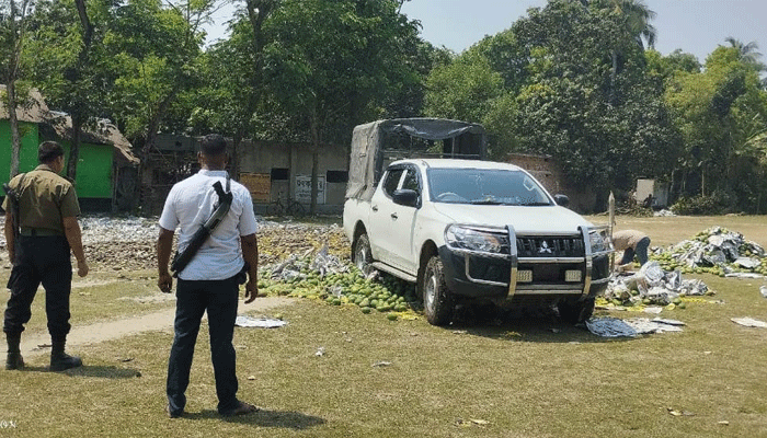 দেবহাটায় রাসায়নিক মেশানো ৫ টন আম বিনষ্ট