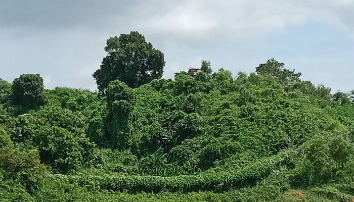 আতঙ্কে গ্রাম ছেড়েছে ১৯৫ পরিবার