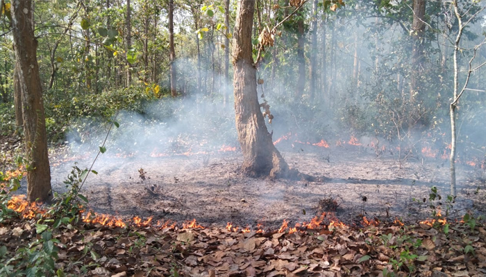 আগুনে পুড়ছে গারো পাহাড়