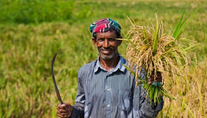 হাওড়জুড়ে কৃষকের মুখে সোনার হাসি
