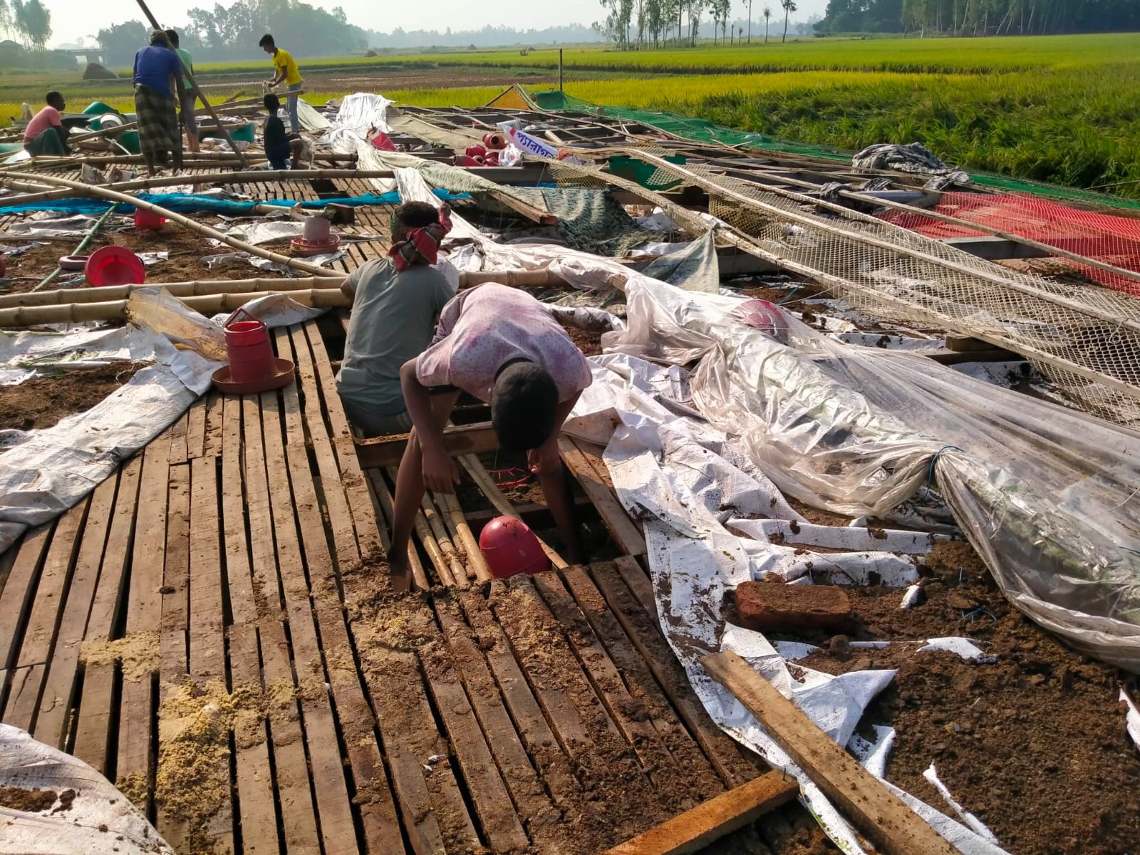নাগরপুরে কালবৈশাখী ঝড়ে পোল্ট্রি খামারে ব্যাপক ক্ষয়ক্ষতি