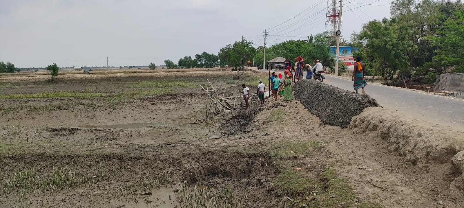 পাইকগাছার বেড়িবাঁধগুলো ঝুঁকিপূর্ণ, আতঙ্কে এলাকাবাসী