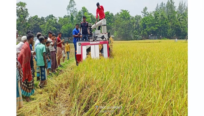 আলীকদমে কম্বাইন্ড হারভেস্টার মেশিনে ধানকাটা উদ্বোধন